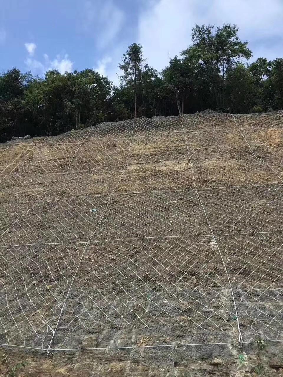 主动防护网实景