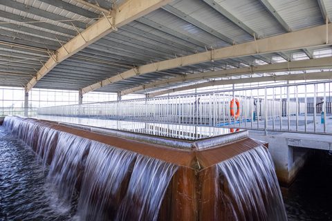 怎么保养多功效微型过滤机？？？